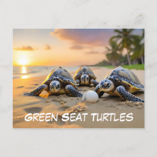 Cartão Postal Tartarugas verdes na praia com ovo rachado