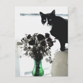 Cartão Postal Tasha, o Gato Tuxedo