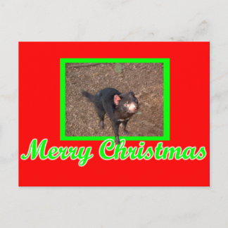 Cartão Postal Tassie Devil