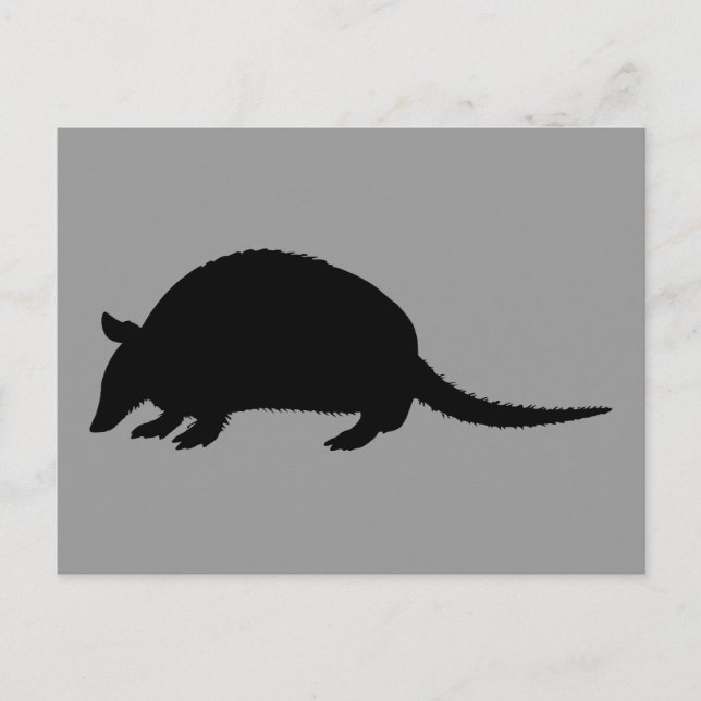 Cartão Postal Tatu (Frente)