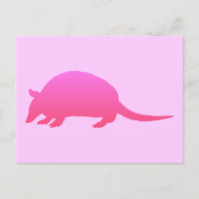 Cartão Postal Tatu Rosa (Frente)