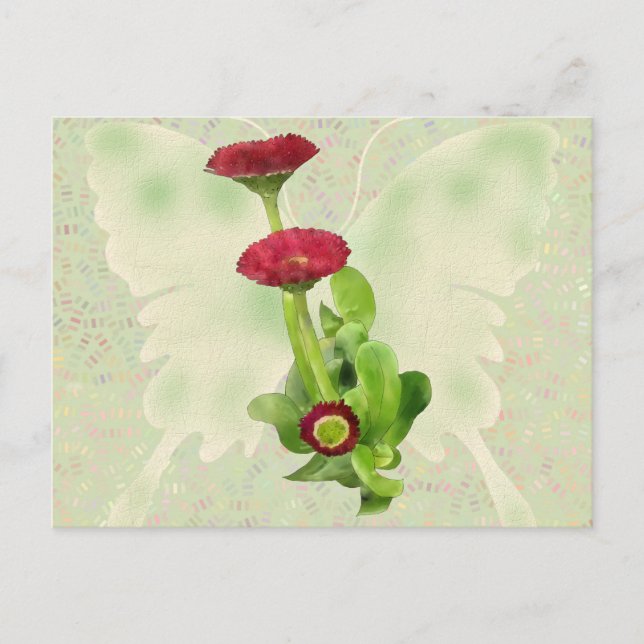 Cartão Postal Tausendschön (Frente)