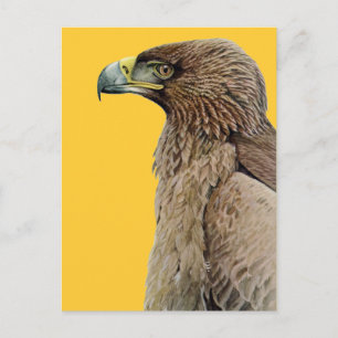 Cartão Postal Tawny Eagle