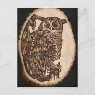 Cartão Postal Tawny Owl