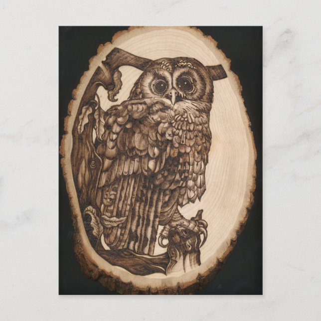 Cartão Postal Tawny Owl (Frente)