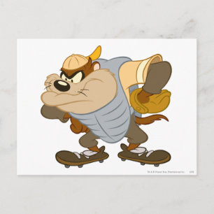 Cartão Postal TAZ™ no Monte do Catcher