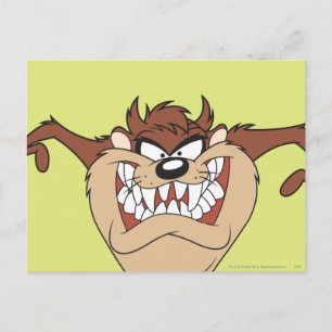 Cartão Postal TAZ™ posicionando 15