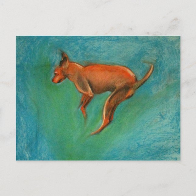 Cartão Postal Tazzmaster (Frente)