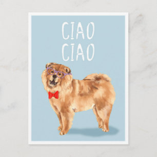 Cartão Postal Tchau Tchau diz o Cachorro Chow Chow Piada Diverti
