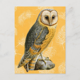 Cartão Postal TCWC - Barn Owl Vintage