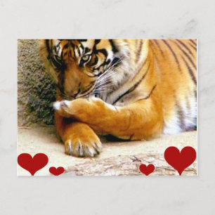 Cartão Postal Te Amo.