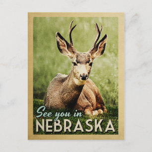 Cartão Postal Te Vejo Em Nebraska - Stag Deer Willife