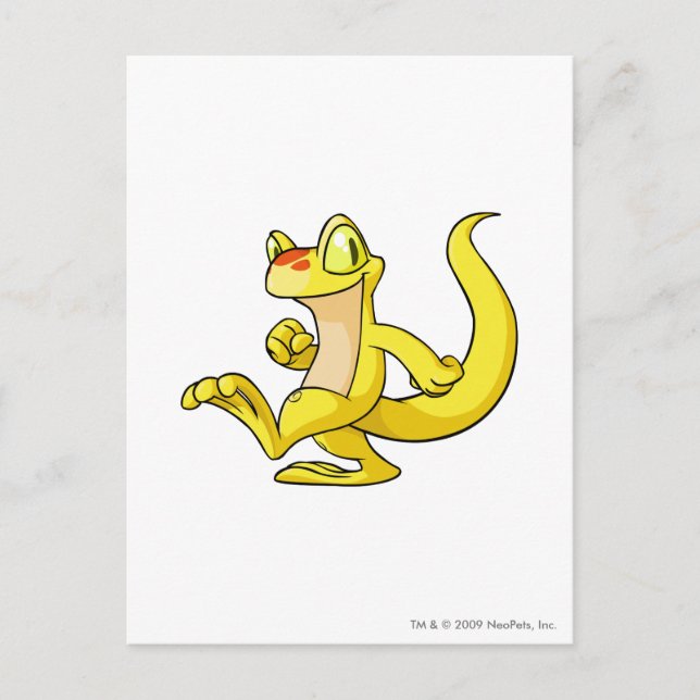 Cartão Postal Techo Amarelo (Frente)