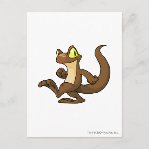 Cartão Postal Techo Brown