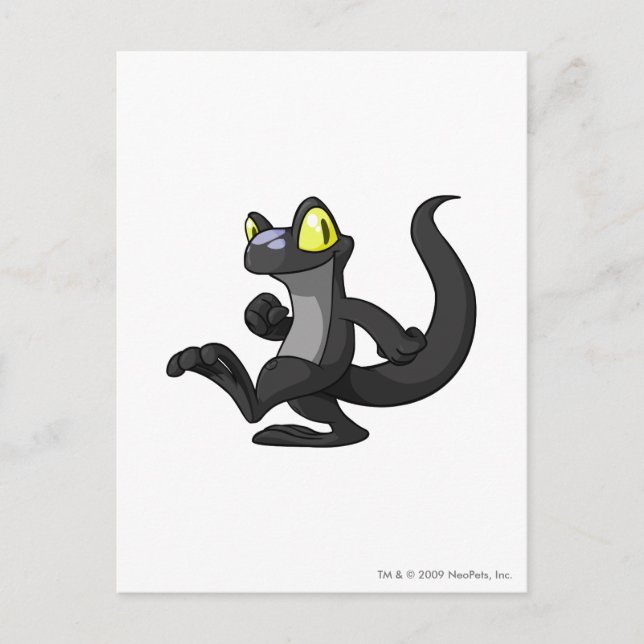 Cartão Postal Techo Shadow (Frente)