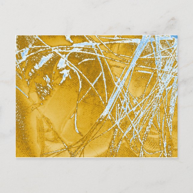 Cartão Postal tecido de cromo (Frente)