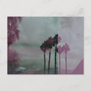 Cartão Postal Técnicas Sonhando Palmeiras