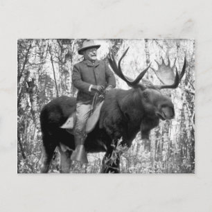 Cartão Postal Teddy Roosevelt que monta um alce de Bull