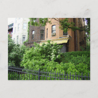 Cartão Postal Telhado amarelo e jardim