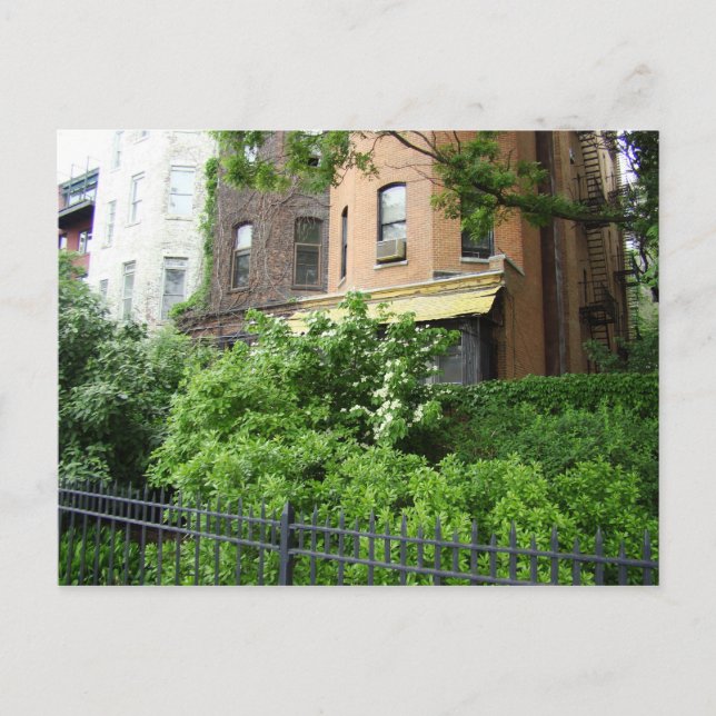 Cartão Postal Telhado amarelo e jardim (Frente)