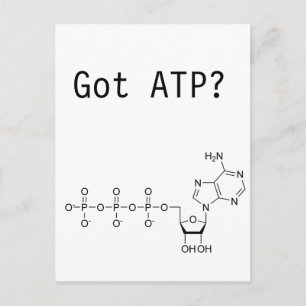 Cartão Postal Tem ATP?