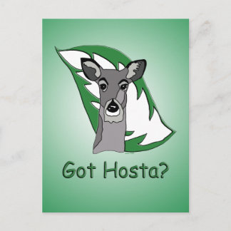 Cartão Postal Tem Hosta?