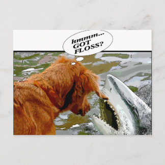 CARTÃO POSTAL TEM INUNDAÇÕES? CÃO NA BOCA DE TUBARÃO - HUMOR