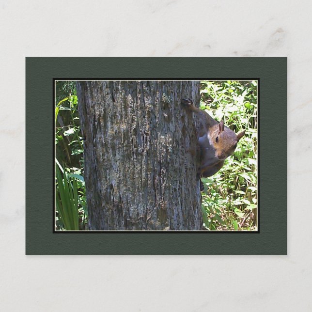 Cartão Postal Tem Loucos? (Frente)