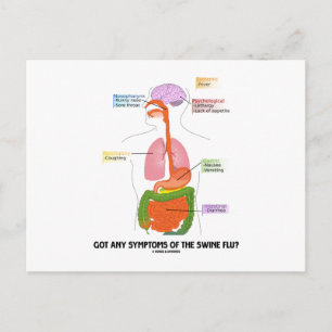 Cartão Postal Tem Sintomas Da Gripe Suína? Anatomia