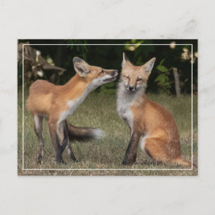 Cartão Postal Tem Uma Casa?