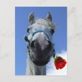 Cartão Postal tema de amor de cavalo e rosa