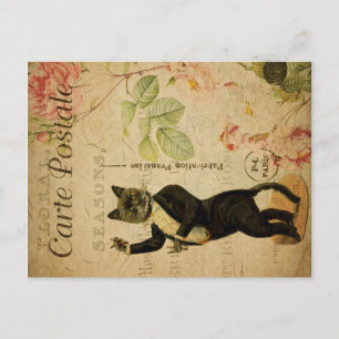Cartão Postal Tema de Gato de Vintage Carte Postale Dança d