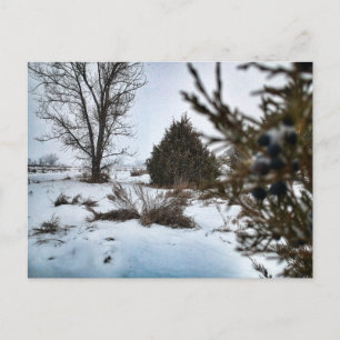 Cartão Postal Tempestade de neve de inverno em Dakota do Norte