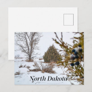 Cartão Postal Tempestade de neve de inverno em Dakota do Norte
