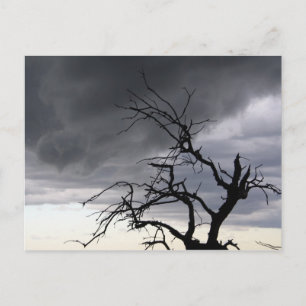 Cartão Postal Tempestade Guadalupe