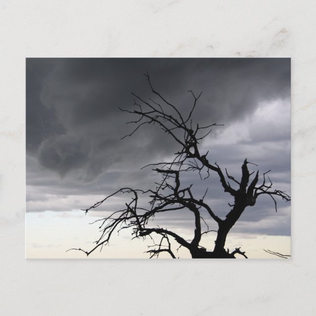 Cartão Postal Tempestade Guadalupe (Frente)