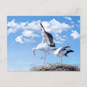 Cartão Postal Tempestades no céu