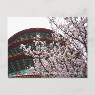 Cartão Postal Templo de Tienyuan, Danshui, Nova Taipei, Taiwan