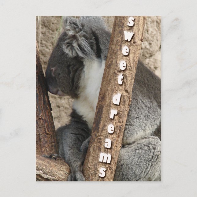 Cartão Postal Tempo da sesta (Frente)