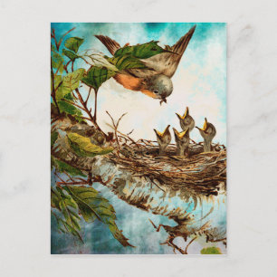 CARTÃO POSTAL TEMPO DE ALIMENTAÇÃO