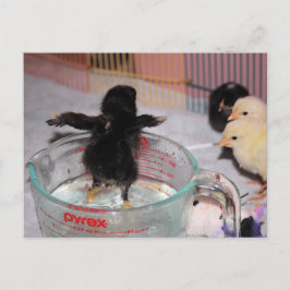 Cartão Postal Tempo de banho