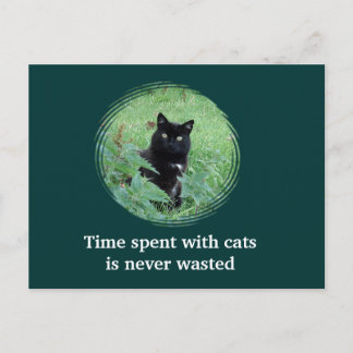 Cartão Postal Tempo Passado Com Gatos Nunca é Perd