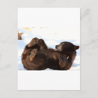 Cartão Postal Tenham um Dia Bom da BEIA!!