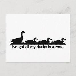Cartão Postal Tenho todos os meus patos seguidos...