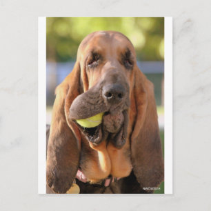 Cartão Postal Tênis, alguém?