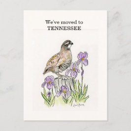 Cartão Postal Tennessee