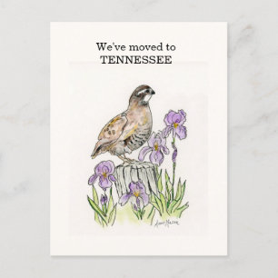 Cartão Postal Tennessee