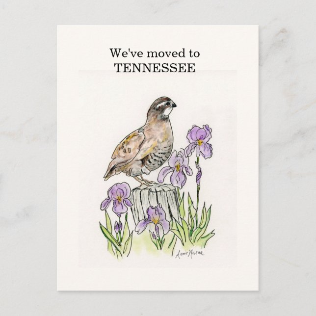 Cartão Postal Tennessee (Frente)