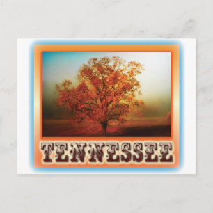 Cartão Postal Tennessee Fall Tree Scene