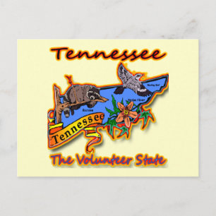 Cartão Postal Tennessee O Voluntário da Flor do Estado Racoon Bi